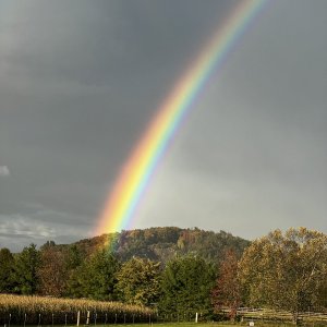 AB2F18C1-7957-4968-BA9C-D05EDD89AB4B.jpeg