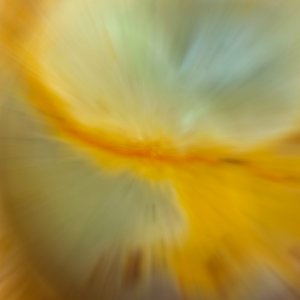 Zoom-Zoom-Zoom.jpeg