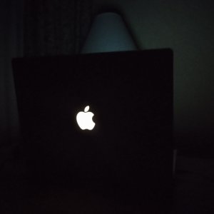 IMG_20211110_025042156.jpg