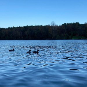 IMG_4874.jpg