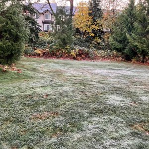 IMG_0050.jpg