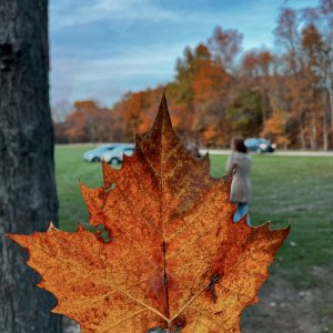 IMG_0266.JPG