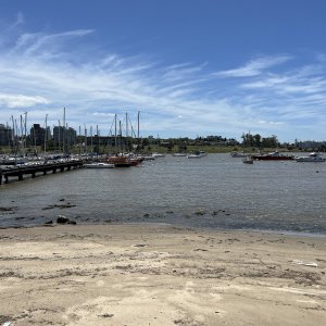 IMG_3459.JPG