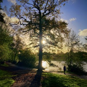 TILGATE PARK.jpg