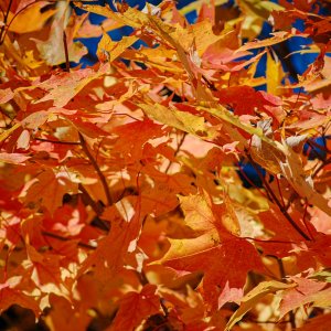 Burnsville-13.jpg
