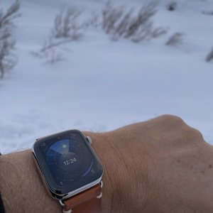 00405E12-0E93-43AA-A498-2A55AB1F7FD1.jpeg