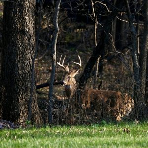 DSCF1689.JPG