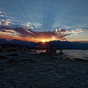 IMG_1716_DxO2k.jpg