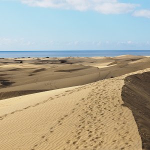 dunes-9150074.jpg