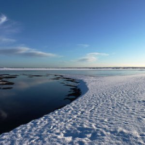 Tentsmuir beach Soctland.jpeg