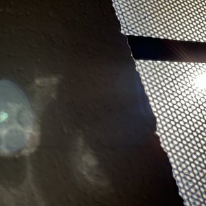 E6698892-555D-4F59-A131-1302CE979A21.jpeg