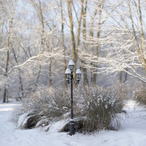 Jeff Light Pole Panorama small.jpg