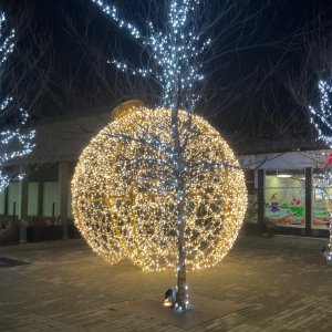 IMG_0141.jpg