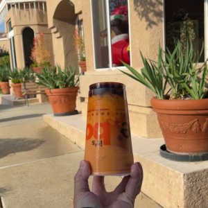 0BC32807-5FA9-4DB5-83D6-BFB15324F49A.mov