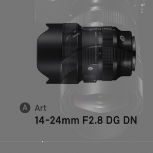 Screen Shot 2021-12-05 at 8.56.01 AM.png