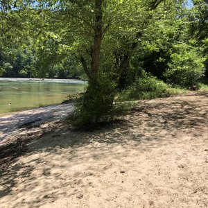 IMG_0440.jpg
