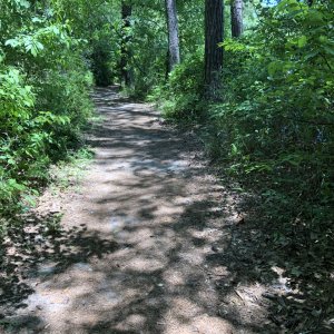 IMG_0429.jpg