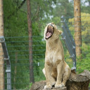 17C9B298-658A-42EE-B150-FE2DAEFF6DF1.jpeg