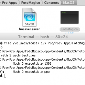 Screenshot 2021-12-15 13-00-06.png