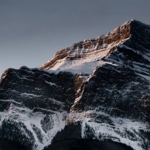 pic.JPG