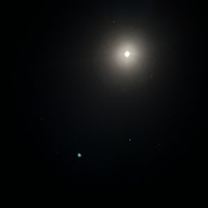 23A5F1A3-5530-4538-A3A2-3CA467D31A84.jpeg