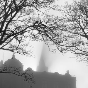 Sun and fog.jpg