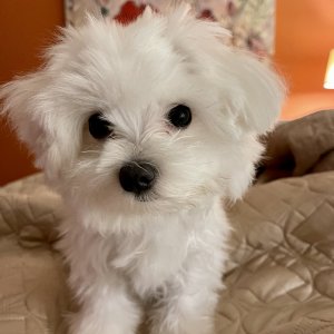 IMG_0436.jpeg