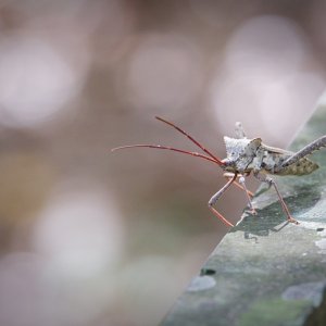 215313E0-7815-4A7F-AEB0-2AA16698956E.jpeg