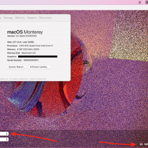 Screen Shot 2021-12-27 at 1.42.02 pm.png