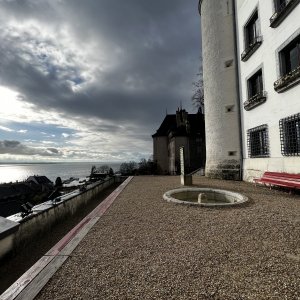 IMG_5664.jpeg
