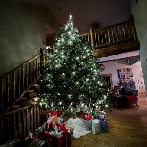 IMG_0600.jpeg