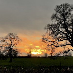 IMG_0317.jpeg