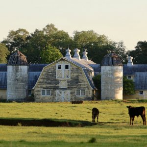 dairybarn.JPG