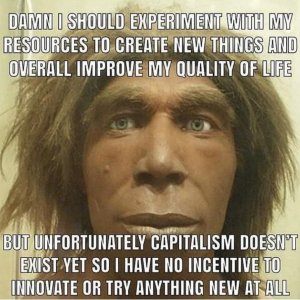 4D9B875F-38F3-4274-85AD-2C49389E9244.jpeg