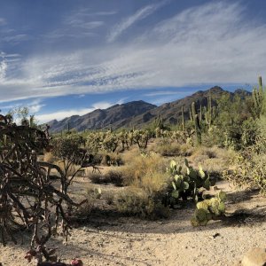 CoronadoNationForestTucson.jpg