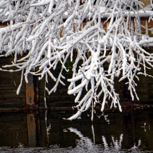 Snowy Reflections.jpeg