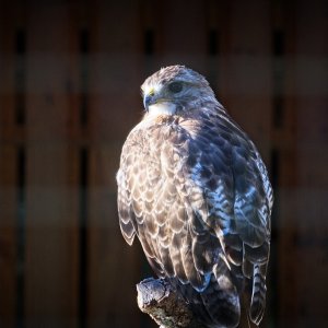 93214AD4-20A8-4046-AA21-45ED5A98E5D1.jpeg