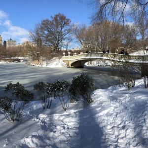 bowbridge.jpg