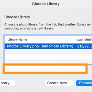 Screenshot 2022-01-14 at 9.56.47 AM.jpg