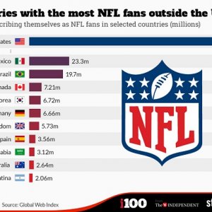 NFL_fans.jpg