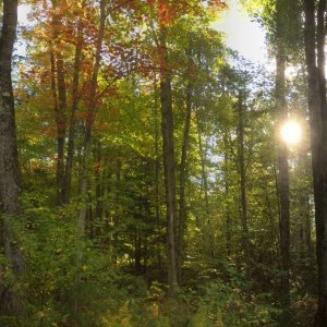 IMG_3689.jpg