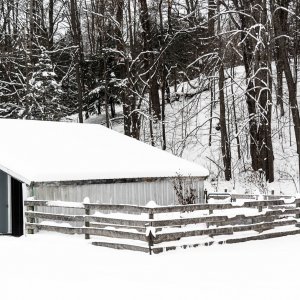 Barn and Garden snow 12-8-2021.jpg
