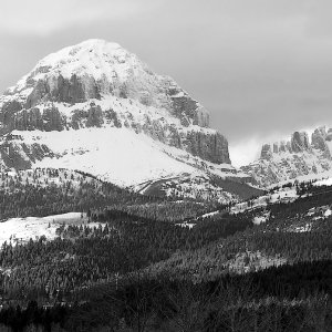 P1010048B&W.jpg