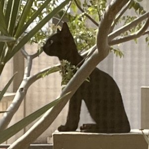 IMG_0827.jpeg