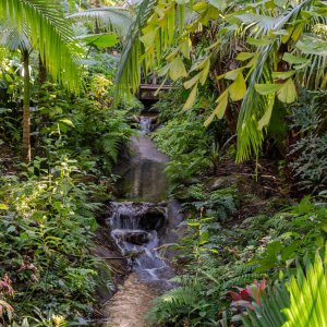 Leu Gardens 1-2022 2500px-1.jpg