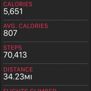 ZSTEPS.png