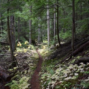 bead_lake_wa_trail.jpeg