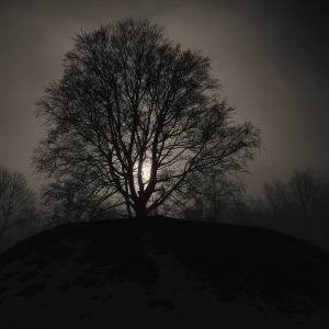 Screen Shot 2022-01-30 at 12.22.38.png