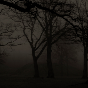 Screen Shot 2022-01-30 at 12.21.00.png