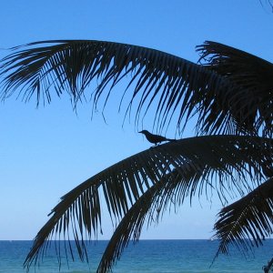 IMG_0395.jpg